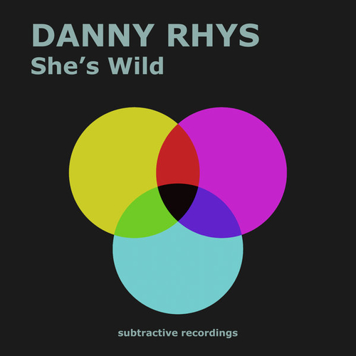 Danny Rhys - She's Wild [SUB131]